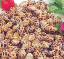 Spicy Sauce Marinated Small Abalone