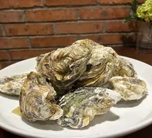 Premium Oyster
