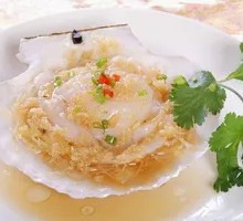 Scallop