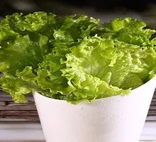 Lettuce Side Dish
