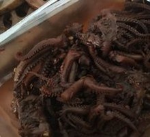 Braised Squid