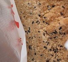 Black Sesame Walnut Dumpling