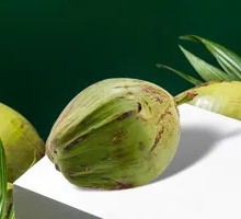 Hainan Young Coconut