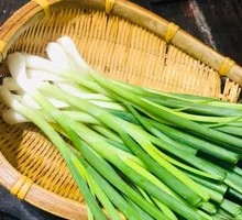 Scallion
