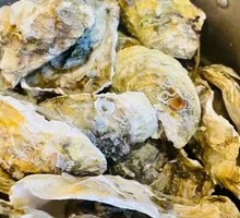 Steamed Oysters