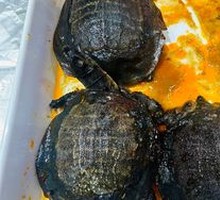 Braised Softshell Turtle