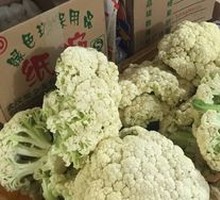 Cauliflower