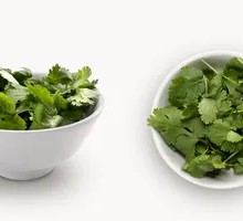 Cilantro Salad
