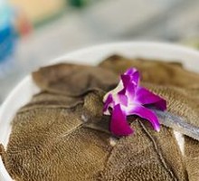 Fresh Tripe