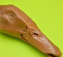 Duck Head