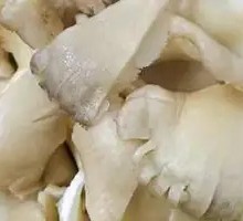 Enoki Mushroom