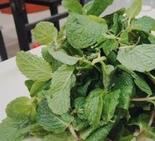 Mint Salad
