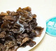 Wood Ear Mushroom