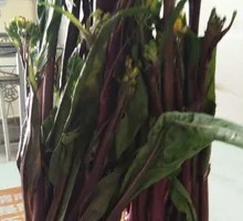 Sour Spicy Red Bok Choy