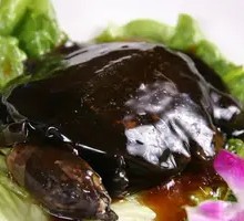 Braised Turtle