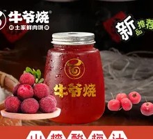 Hawthorn Plum Lemonade