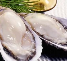 Oyster