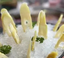Bamboo Shoot