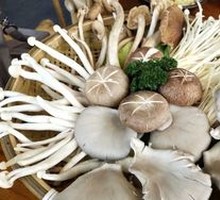 Shiitake Mushroom