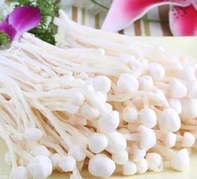 Enoki Mushroom