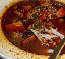 Premium Maoxuewang