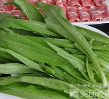 Oilseed lettuce