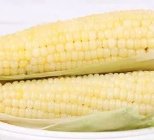Steamed Glutinous Corn