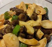 Flower Mushroom Protein