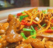 Softshell Turtle with Bullfrog Stew
