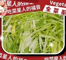 Sauce-Flavored Vegetarian Stir-Fry