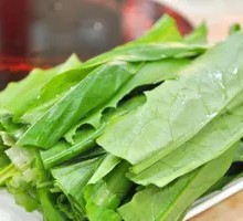 Oilseed lettuce