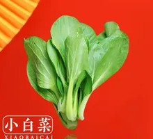 Bok choy