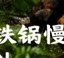 Chicken Stew with Mushrooms