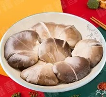 Fresh Pleurotus from Yunnan