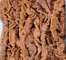 Pork Intestines