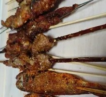 Fresh Red Willow Branch Lamb