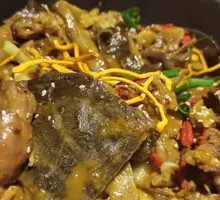 Clay Pot Softshell Turtle