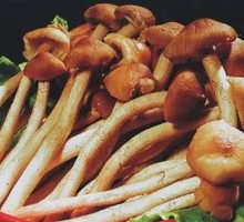 Fresh Shiitake Mushroom Stir-fry