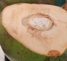 Fresh Coconut Soup Base