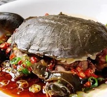 Softshell Turtle with Bullfrog Stew