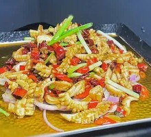 Large Plate Deep-Sea Squid