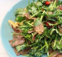 Cilantro Beef Salad