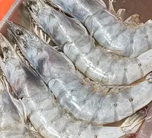 Dalian Air-Freighted Sea Shrimp