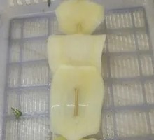 Potato Slices