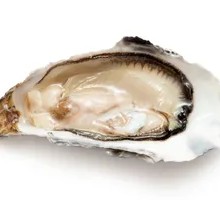 Fresh Rushan Oysters