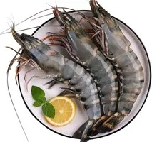 鲜活黑虎虾