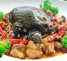 Stewed Chicken with Turtle