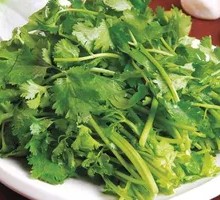 Fresh Coriander