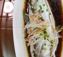 Steamed Wild Big Catfish