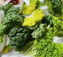 Napa cabbage